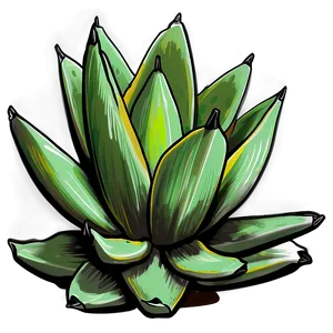 Agave Plant Sketch PNG Kbn84 PNG
