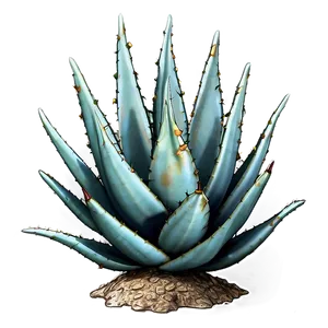 Agave Plant With Thorns PNG 06282024