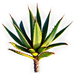 Agave Plant With Thorns PNG Mfh23 PNG