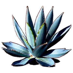 Agave Silhouette Png Dhw PNG image