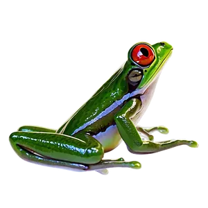 Agile Frog PNG 05062024