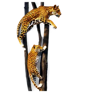 Agile Jaguars Climbing Png Cpx PNG image