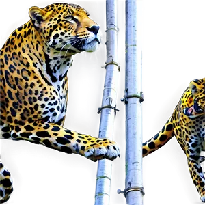 Agile Jaguars Climbing Png Vmo PNG image