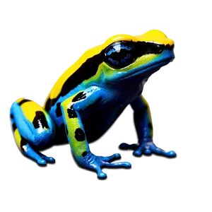 Agile Poison Dart Frog PNG 06132024