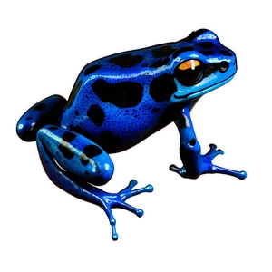 Agile Poison Dart Frog PNG Wwu88 PNG