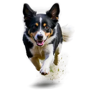 Agility Dog Running PNG Mfa62 PNG