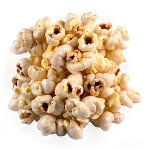 Agricultural Popcorn Kernel PNG Lhq52 PNG