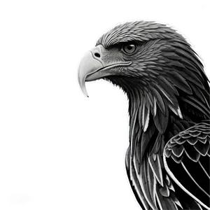 Aguila Monochrome Png Xbm PNG image