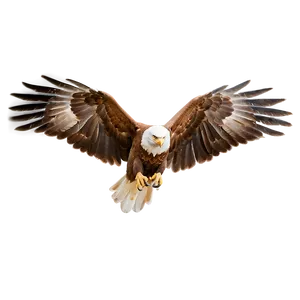 Aguila Outline PNG Wwk91