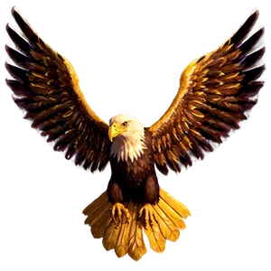 Aguila Pattern Png Tar PNG image