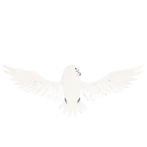 Aguila Silhouette Png 06252024 PNG image