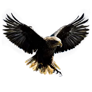 Aguila Silhouette Png 06252024 PNG image