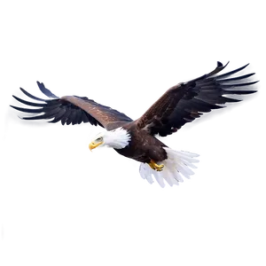 Aguila Sketch PNG Ktd98 PNG