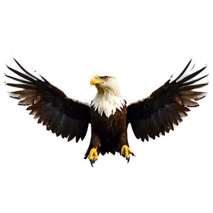 Aguila Wallpaper PNG 06252024