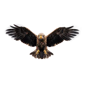 Aguila Wallpaper Png Rpj PNG image