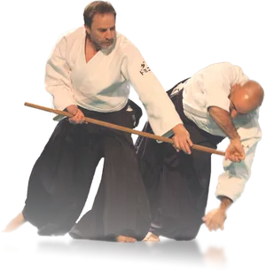 Aikido Defense Techniquewith Jo Staff PNG image