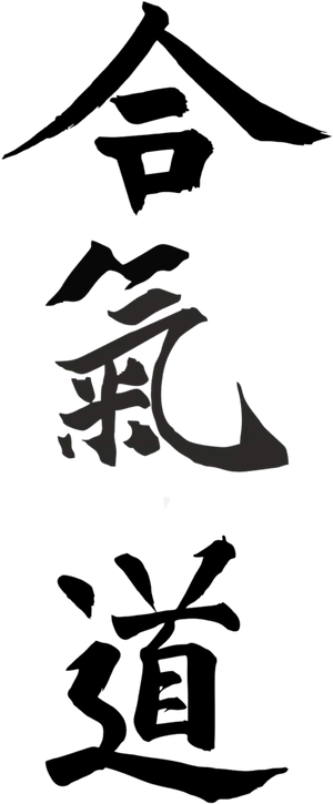 Aikido Kanji Calligraphy PNG image
