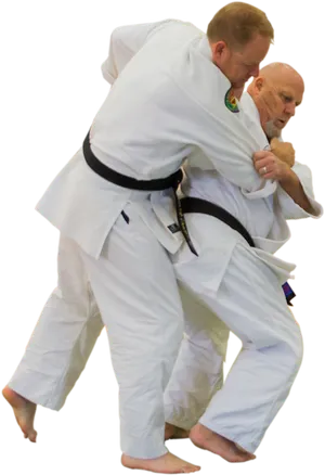 Aikido Technique Demonstration PNG image