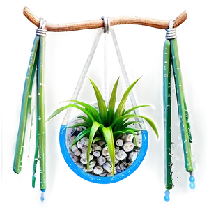 Air Plant Hanging Png Vcb PNG image