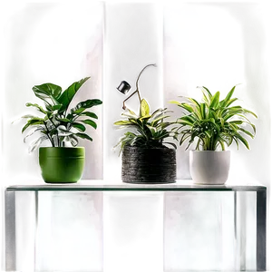 Air Purifying Indoor Plants Png 59 PNG image