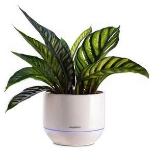 Air Purifying Indoor Plants Png Pfn PNG image