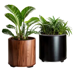 Air Purifying Plants Png 59 PNG image