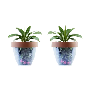Air Purifying Potted Plants PNG 06122024 PNG