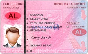 Albanian Driving License Sample PNG image