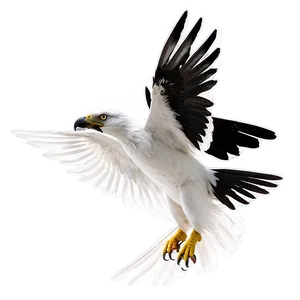 Albedo In Flight PNG 06272024