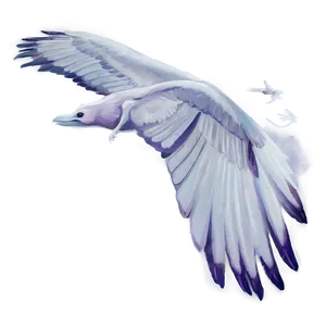 Albedo In Flight PNG 06272024 PNG