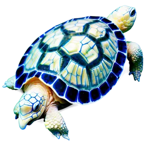 Albino Turtle Rare PNG 45 PNG