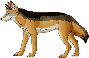 Alert Coyote Illustration PNG image