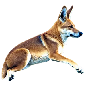 Alert Dingo Lookout PNG Jmy8 PNG