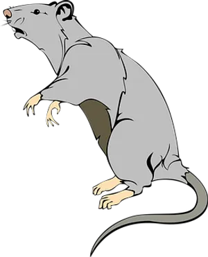 Alert Grey Rat Illustration PNG image