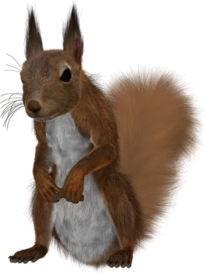 Alert Red Squirrel Standing