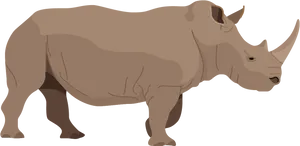 Alert Rhinoceros Standing PNG image