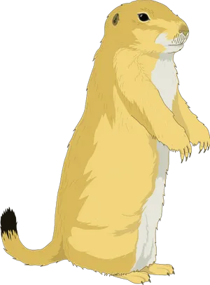 Alert Standing Prairie Dog Illustration