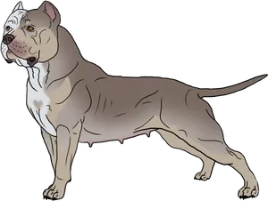 Alert Tan Pitbull Illustration PNG image