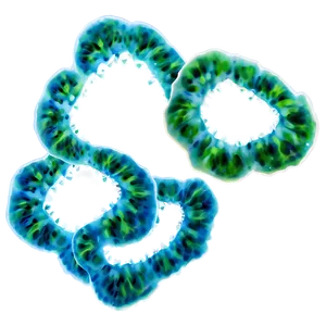 Algae B PNG image