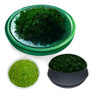 Algae-based Food Product PNG 06212024 PNG