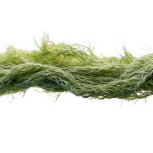 Algae-based Textile Fiber PNG 13