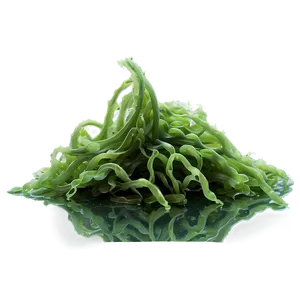 Algae-based Textile Fiber PNG Wuf92 PNG