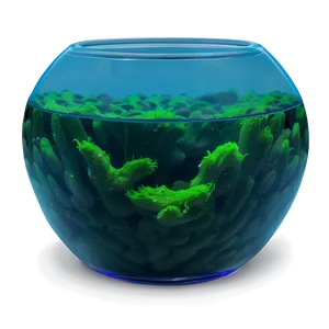 Algae In Fishbowl PNG 34