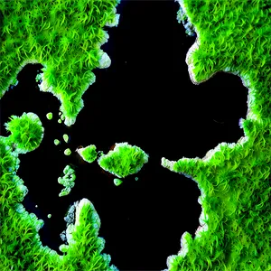Algae In Nature Reserve PNG Jot90