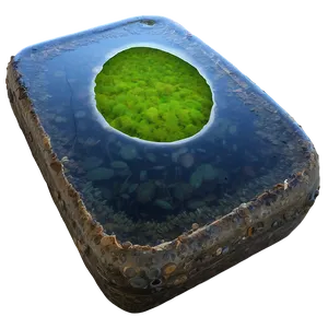 Algae In Pond PNG 06212024