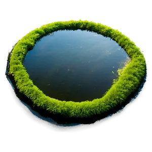 Algae In Pond PNG 46
