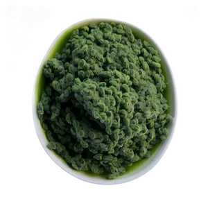 Algae Vegan Protein PNG 53 PNG
