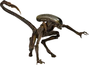 Alien Creature Profile PNG image
