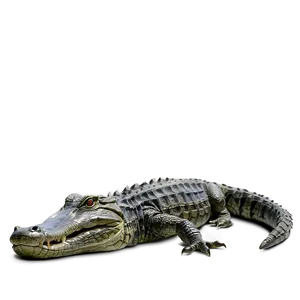 Alligator Camouflage PNG 05212024 PNG