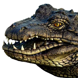 Alligator Head Close-up PNG 05212024